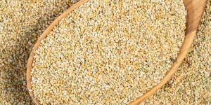 Foxtail Millet (Kangni)