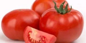 Organic Red Tomato