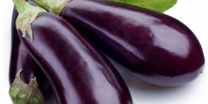 Fresh Brinjal