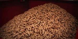 20mm Biomass Wood Pellets
