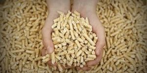 10mm Biomass Pellets