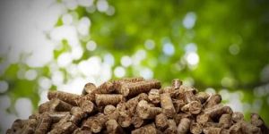 8mm Biomass Pellets