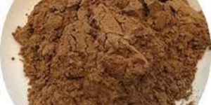 Resveratrol Extract
