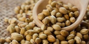 Coriander Seeds