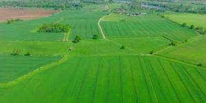 Mortgage Land Valuation Services