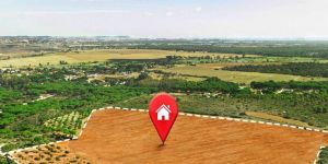 Non Agricultural Land Valuation Services