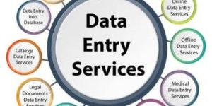 Data Entry Work Service
