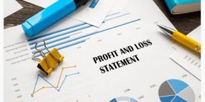 Profit and Loss Statement Service