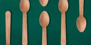 Bagasse Spoons