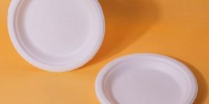 6 Inch Round Bagasse Plates