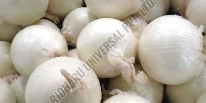 Fresh White Onion