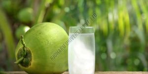 Tender Coconut Water