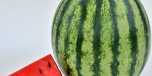 a Grade Watermelon