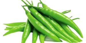Green Chilli