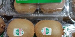 Kiwi Fruit
