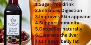 Fruit Beer Natural Jaggery Sharbat