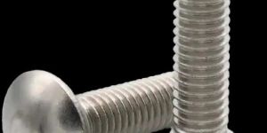 Carriage Bolt
