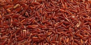 Organic Red Rice
