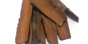 Split Cassia