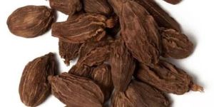 Whole Black Cardamom