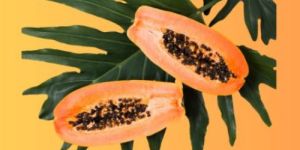 Fresh Papaya