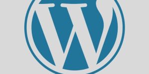 WordPress Optimization