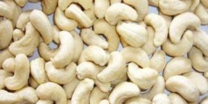 W240 Cashew Nuts