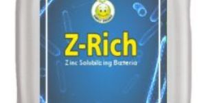 z rich zinc solubilizing bacteria biofertilizer