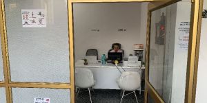 International Courier Services