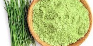 Organic Wheat Grass Powder