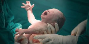 Normal Delivery Services