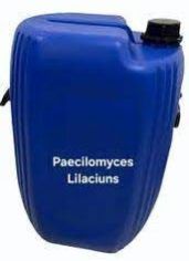 Paecilomyces Lilacinus