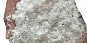 Verticillium Lecanii Biopesticides