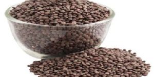 Black Masoor Dal