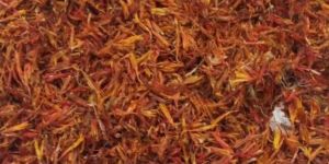 safflower kusum flower
