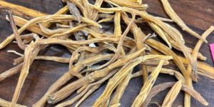 Yellow Shatavari Dry Root