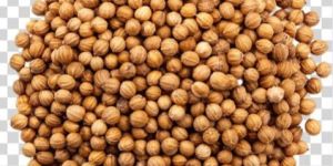 Coriander Seeds