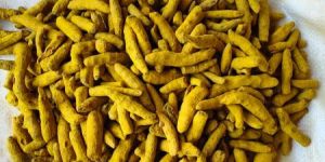 Finger Turmeric
