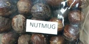 Nutmeg