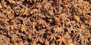 Star Anise