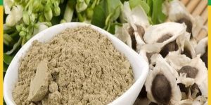 Moringa Powder