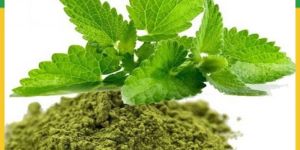 Tulsi Powder