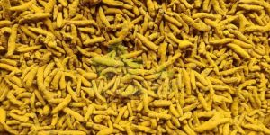 Organic Turmeric Finger