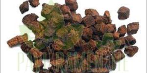 Roasted Chicory Cubes