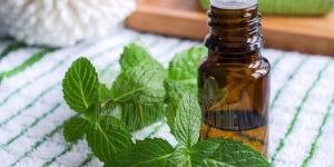 Spearmint Oil