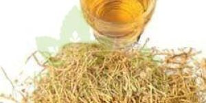 Vetiver Oil