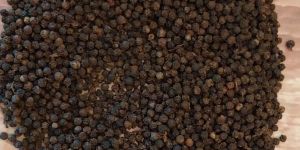Whole Black Pepper Seed
