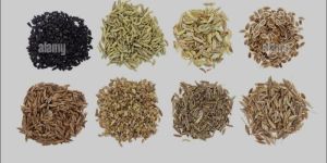 Cumin Seed Jeera
