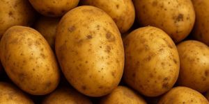 Pahari Potato (Mountain Potato)