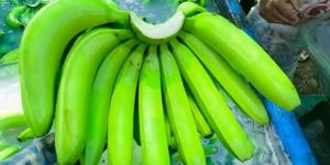 Fresh Green Banana